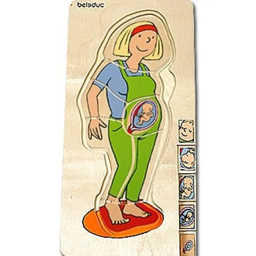 Anatomi - Mamma