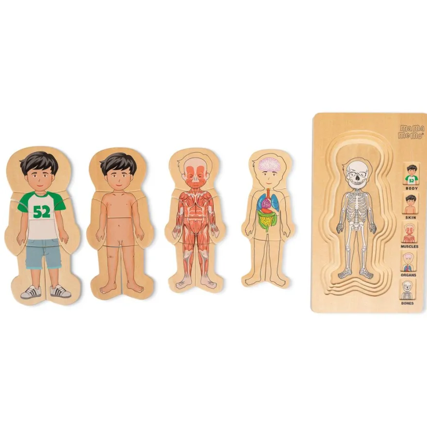 Anatomiskt pussel - Pojke