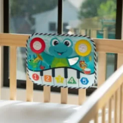 Baby Einstein - Musikmatta