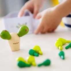 Balanskaktus mini