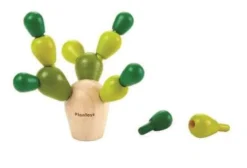 Balanskaktus mini