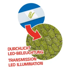 Barn- och junior-mikroskop med LED, 40x-640x