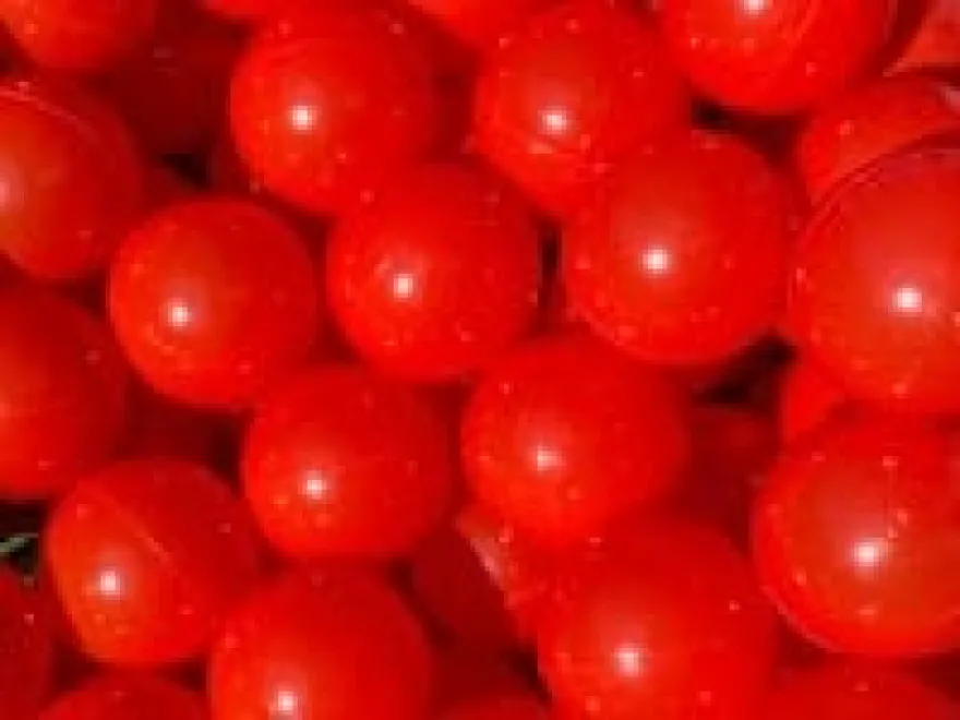 Bollhavsbollar Ø7 cm - Röd, 100 st.