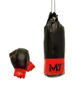 Boxningsset med handskar - 1 kg