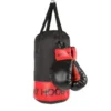 Boxningsset med handskar - 4 kg