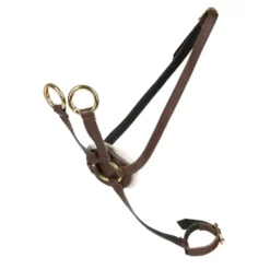 Cheval Roi-tillbehör - Martingal, Brun/guld