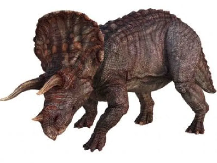 Diabilder med Dinosaurier