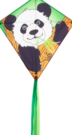 Drake - Panda (68 x 68 cm.)