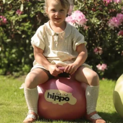 Hoppboll Ø45 cm – Turkish Rose