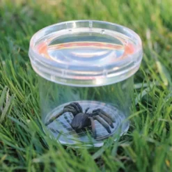 Insektsglas - Lupp i locket