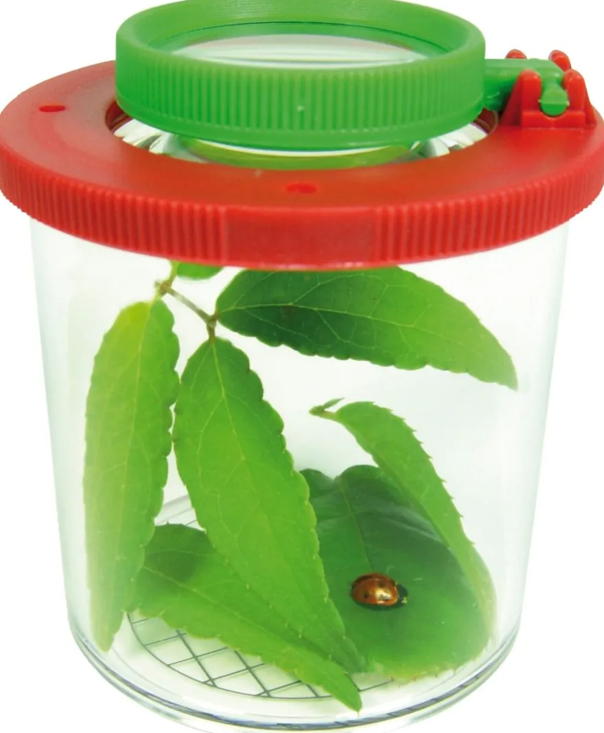 Insektsglas med förstoringsglas, diameter 6cm