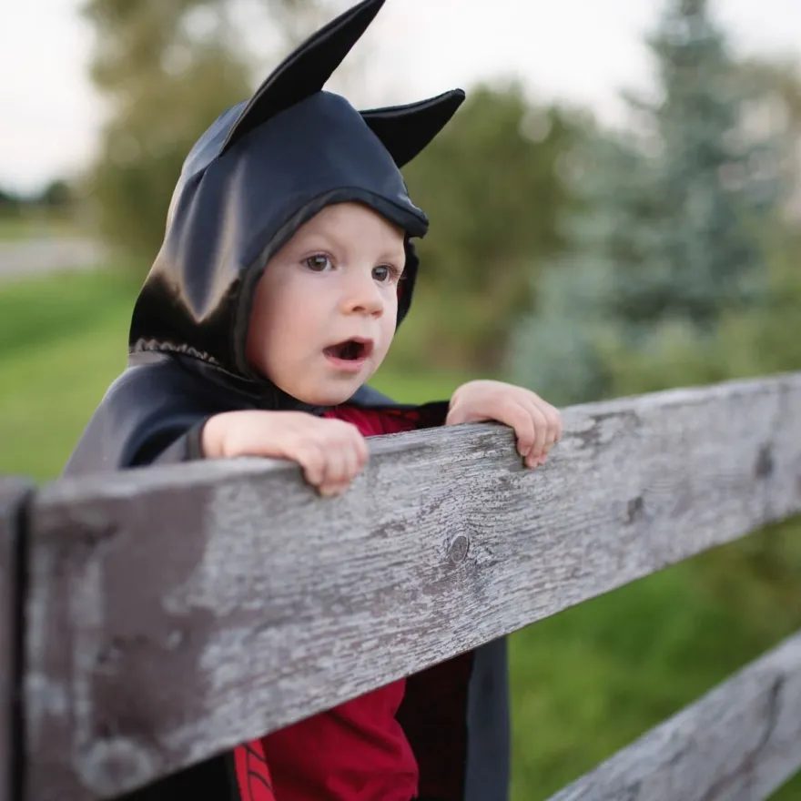2-i-1 Spiderman/Batman-cape - Flera storlekar
