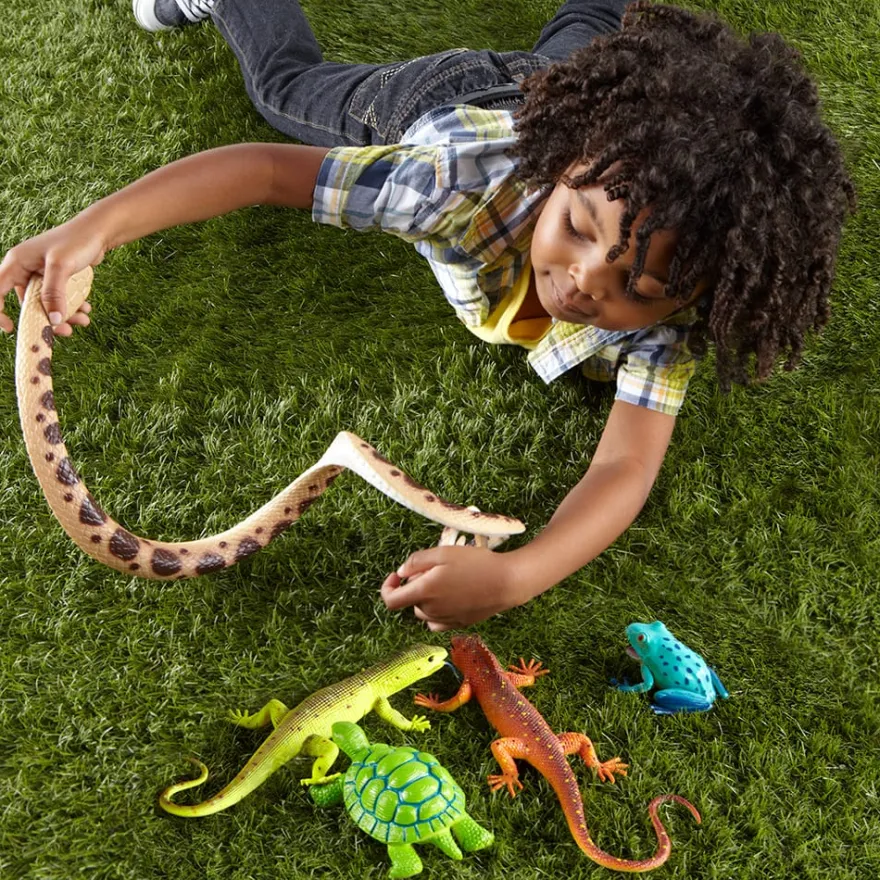 Jätte-kräldjur och -paddor, 5 st.