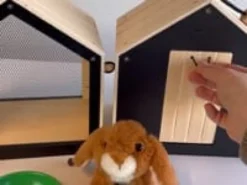 Kaninbur med utegård
