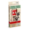 Kasta mops
