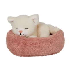 Katten Kaja