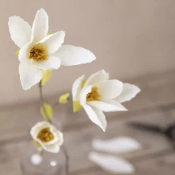 Kräppapper mini - Magnoliagren