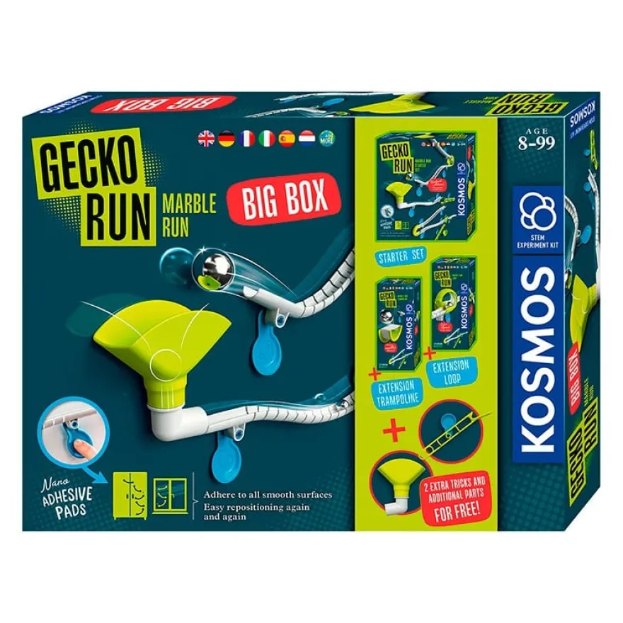 Kulbana Gecko Run – XL-startpaket