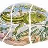 Lägg pussel- Grodans livscykel