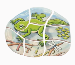 Lägg pussel- Grodans livscykel