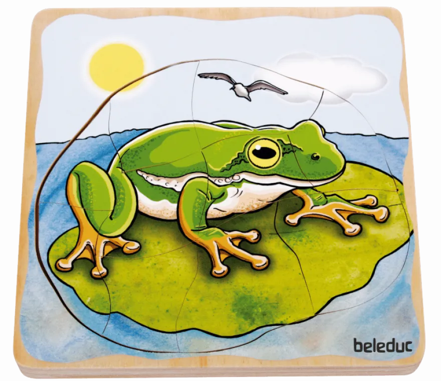 Lägg pussel- Grodans livscykel