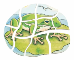 Lägg pussel- Grodans livscykel