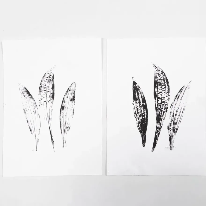 Linoleumtryck - Vertygspaket