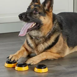 Lär din hund prata - Namn