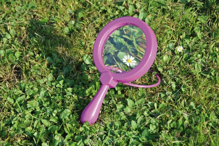 Lupp fot, diameter 11,5 cm - Blandade färger 1 st