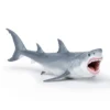 Megalodon – L: 22 cm