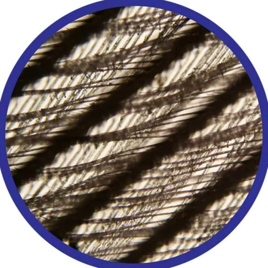 Mikroskop 100-450x - Inkl. Exemplar