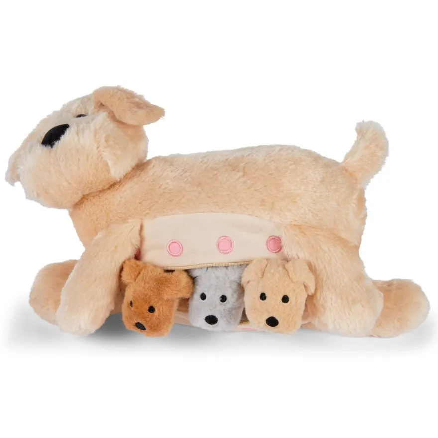 Mjukisfamilj – Hundmamma med valpar