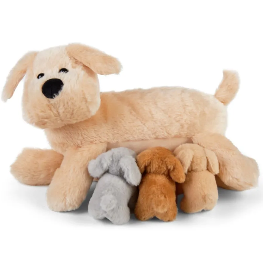 Mjukisfamilj – Hundmamma med valpar