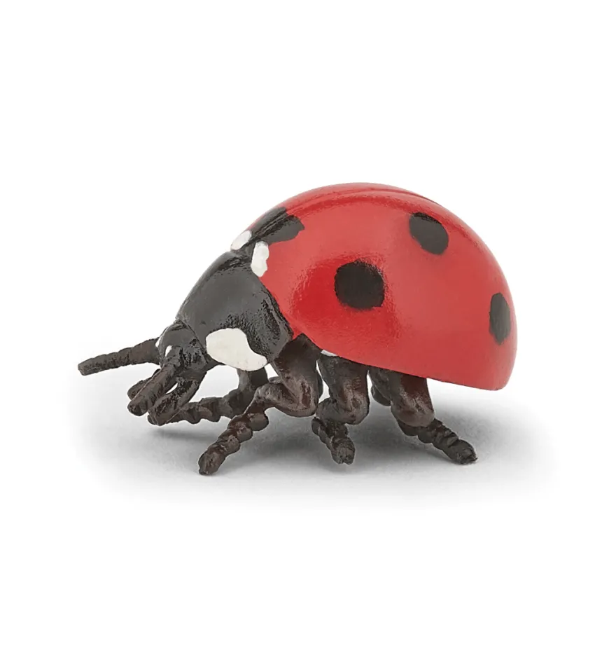 Nyckelpiga - L: 3,2 cm