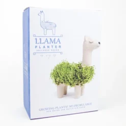 Odla chiakrasse på en lama