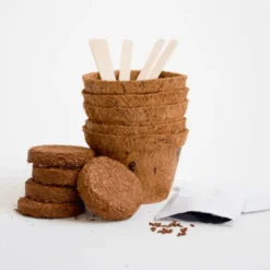 Odla själv-paket - Köttätande växt