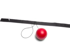 Pannbandsboxning