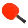 Pingisracket, 1 st.