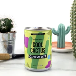 Plantera själv-paket - Kaktus