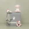 Presentpaket för bebis - Little Farm