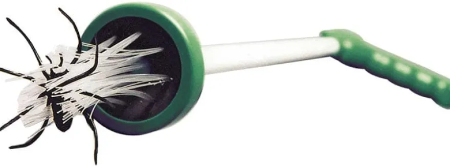 Spindelfångare