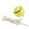 Stångtennis tillbehör - Snöre + boll, 1 st