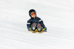 Tefat/Snowbum - Gul