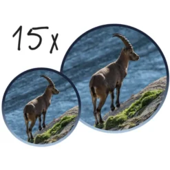 Teleskop - Explorer (blandade färger)