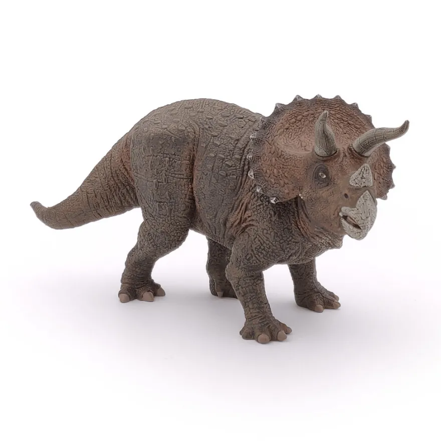 Triceratops – L: 22 cm