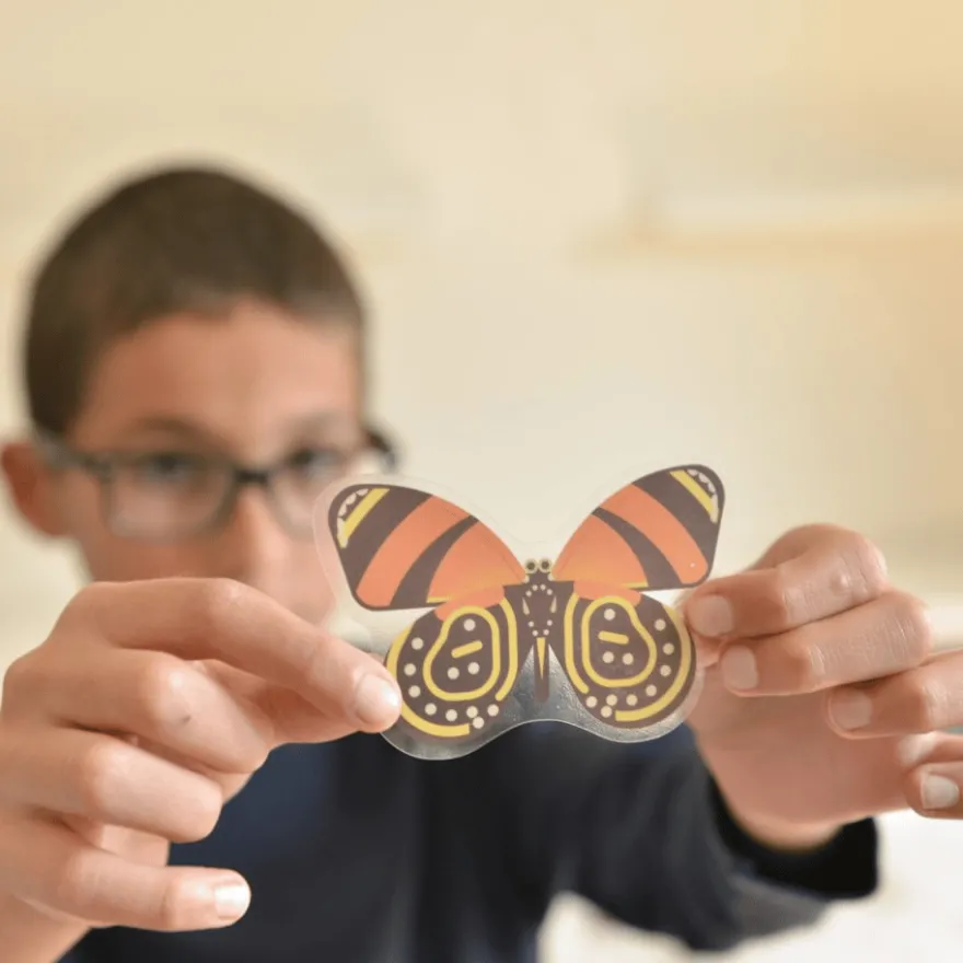 Upptäcktsaffisch med stickers – Insekter