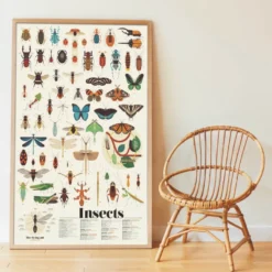 Upptäcktsaffisch med stickers – Insekter