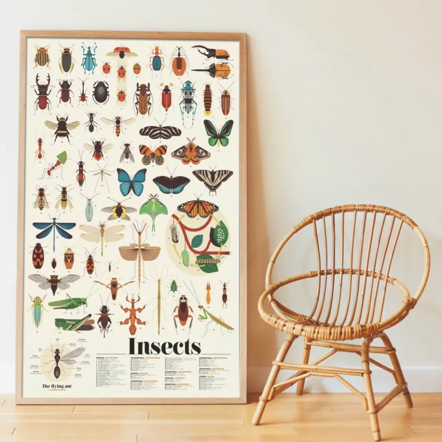 Upptäcktsaffisch med stickers – Insekter