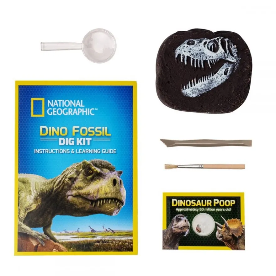 Utgrävning av dinosauriefossiler