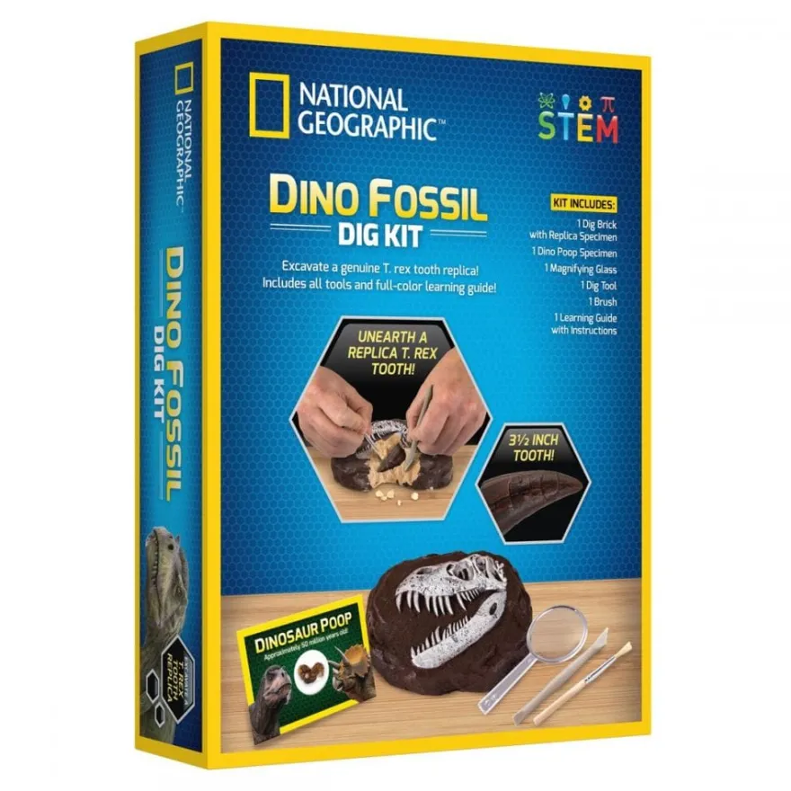 Utgrävning av dinosauriefossiler